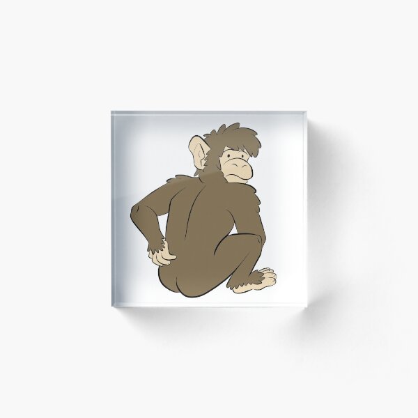 Monkey caught scratching butt Acrylic Block