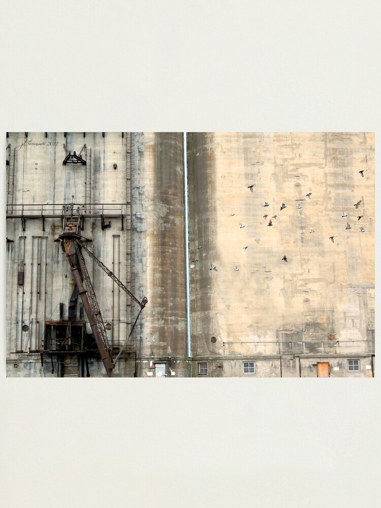 Alternate view of Historically Buffalo Photographic Print