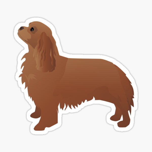 Cavalier King Charles Spaniel Ruby Red Dog Breed Silhouette Sticker