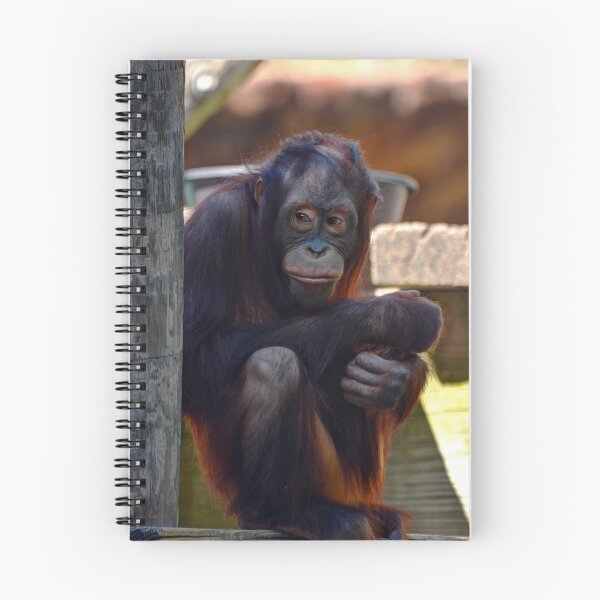 Item preview, Orangutan designed and sold by Savannah Gibbs.