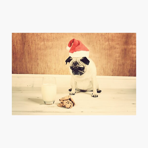 Item preview, Honey is Santa designed and sold by NJMphotography.