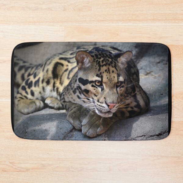 Item preview, Clouded Leopard designed and sold by Savannah Gibbs.