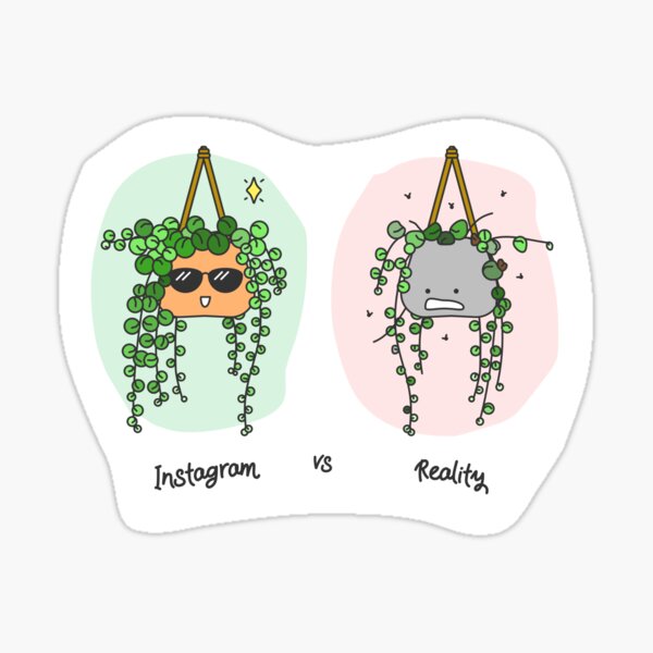 Instagram vs Reality (String of Pearls) Sticker