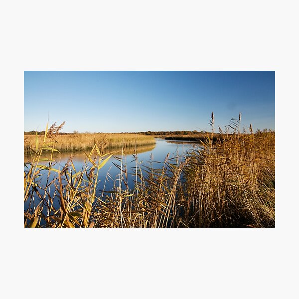 Autumn in Snape Photographic Print