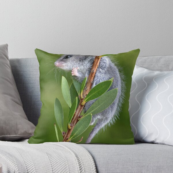 Item preview, Australian Pygmy Possum designed and sold by Dianne English.
