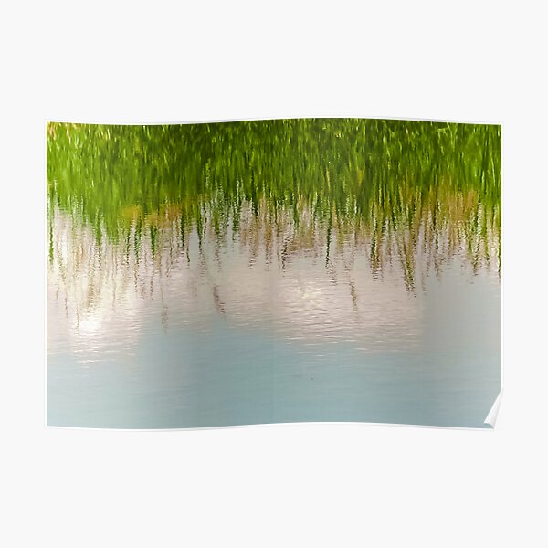 Upside Down or Not? Poster
