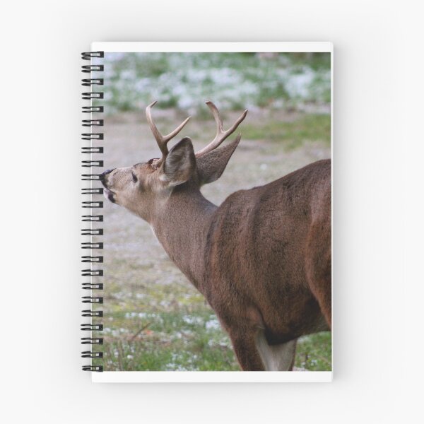 Item preview, The Rutting Season designed and sold by RichImage.