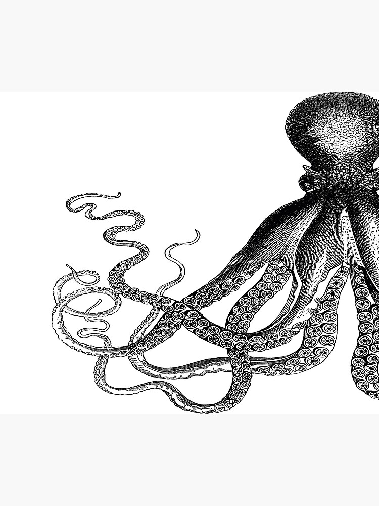 Half Octopus | Left Side | Vintage Octopus | Tentacles | Sea Creatures | Nautical | Ocean | Sea | Beach | Diptych | Black and White | by EclecticAtHeART