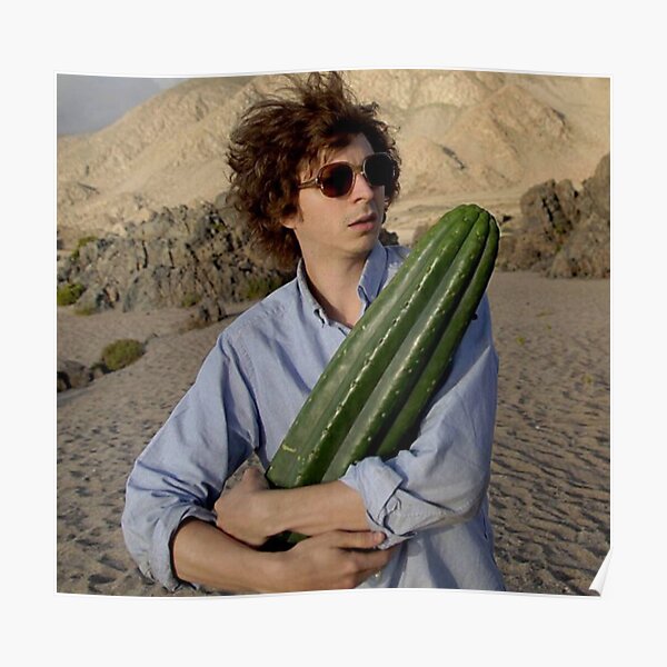 Micheal Cera and Cactus Poster