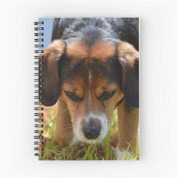 Item preview, Pretty Starbuck designed and sold by PatSeg Photos.