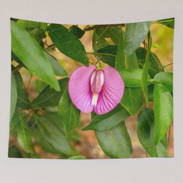 Item preview, Butterfly-Pea Flower designed and sold by CLSArtistries.