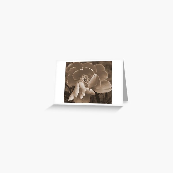 Subdued Greeting Card