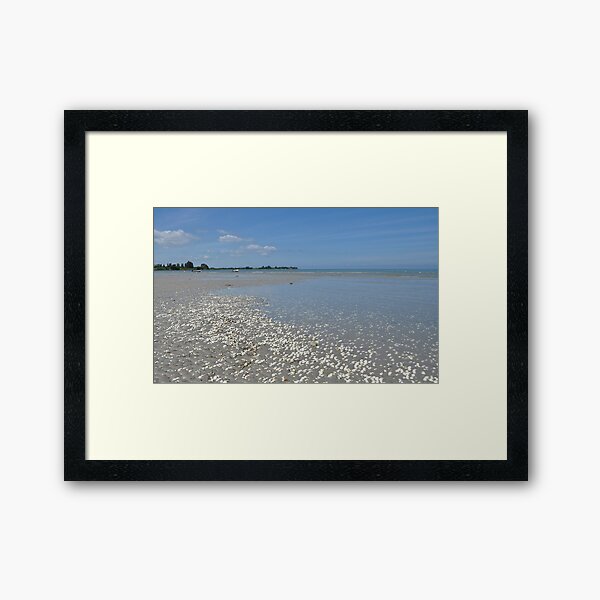 Shell, sand, sea and sky Framed Art Print