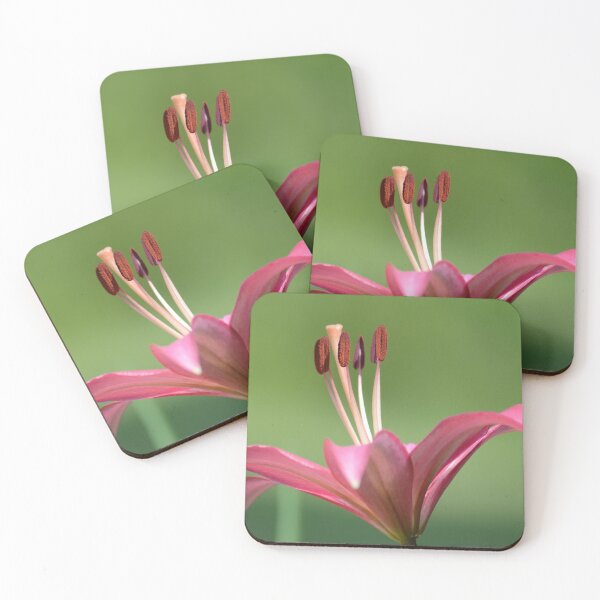 Item preview, Pink Lily designed and sold by PatSeg Photos.