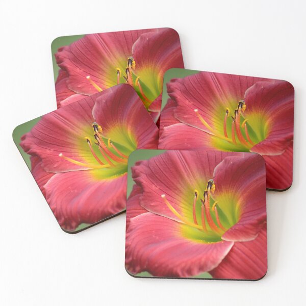 Item preview, Lily designed and sold by PatSeg Photos.