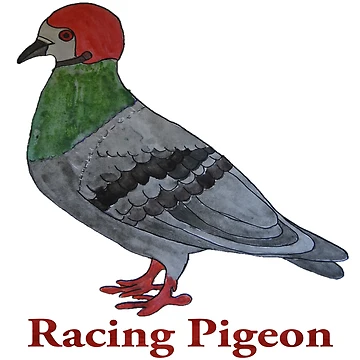 Artwork thumbnail, Pigeon Racing by ABY-Creative