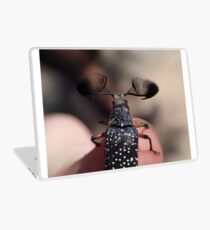 Feather-horned Beetle Laptop Skin