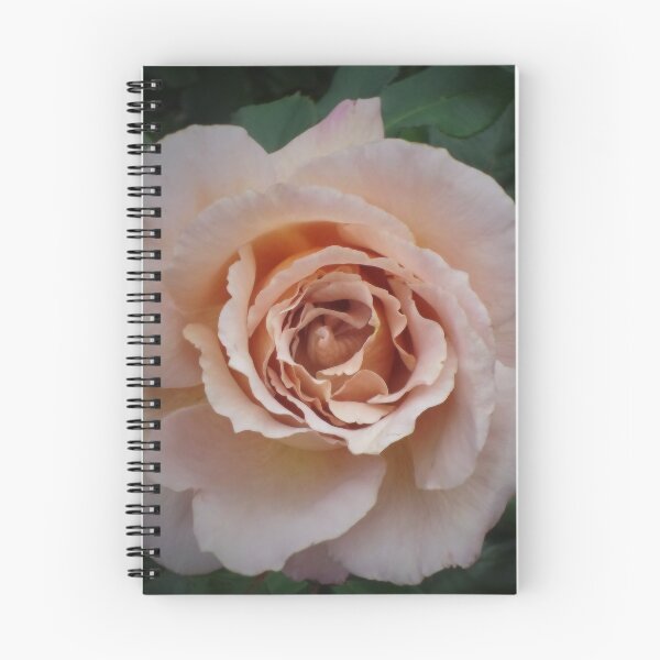Item preview, Rose for Julia in Bloom designed and sold by KeksWorkroom.