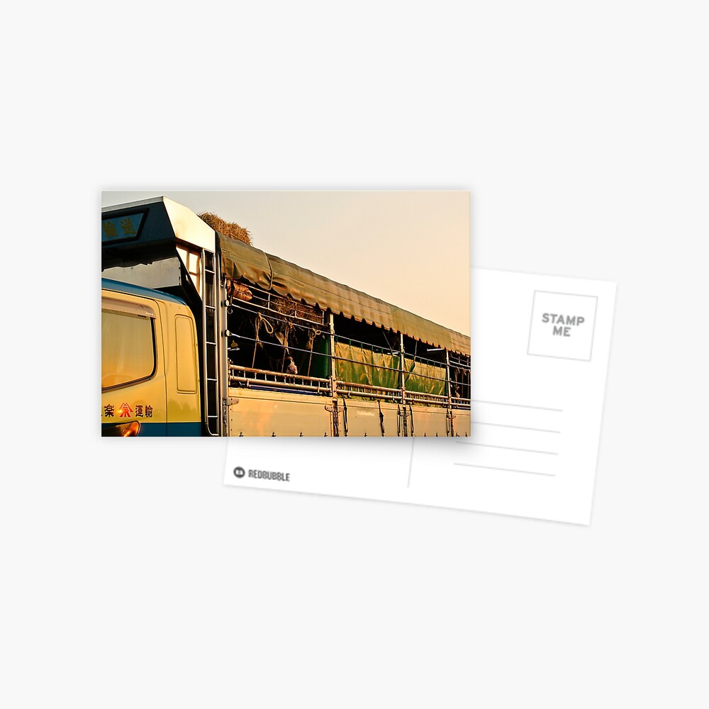 Item preview, Postcard designed and sold by tomoenk6.