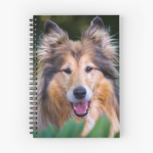 Item preview, Collie Surprise designed and sold by KarenWoodArt.