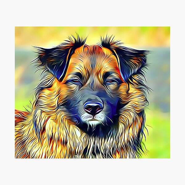 Item preview, The Eurasien Dog designed and sold by Sunleil.