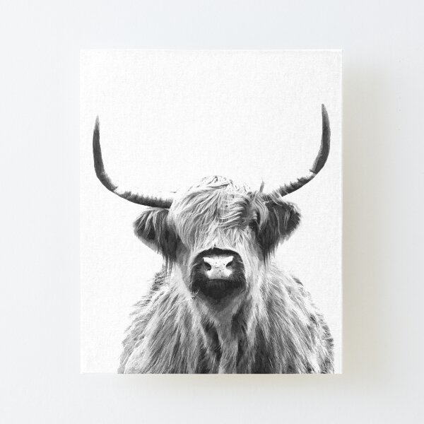 Black and White Highland Cow Canvas Mounted Print