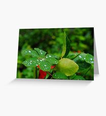 Gems Greeting Card