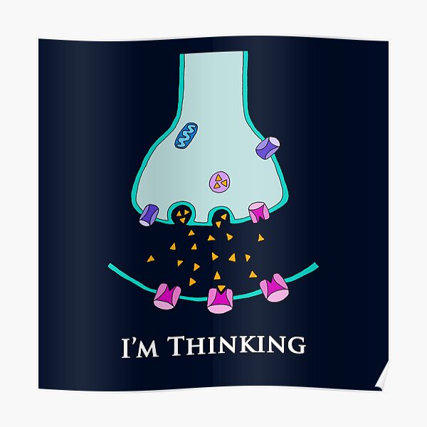 Estoy pensando en la sinapsis - Neurociencia Póster