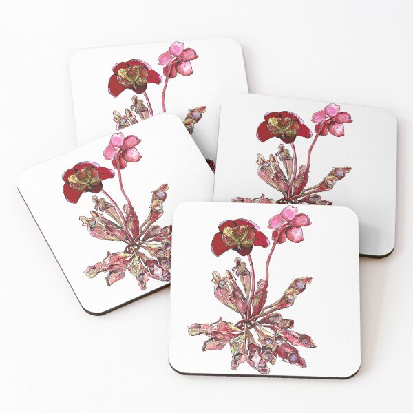 Item preview, Pitcher Plant, Sarracenia purpurea designed and sold by michdevilish.