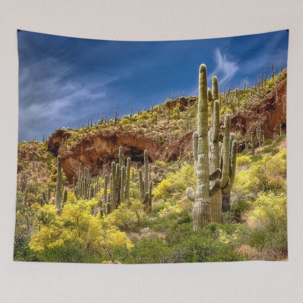 Item preview, Tonto National Monument, AZ designed and sold by Kathy Weaver.