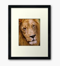 Passive Framed Print