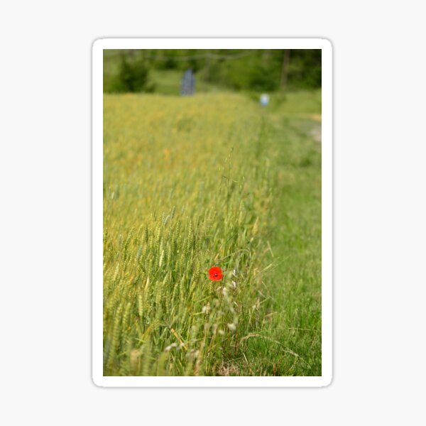 The red spot Sticker