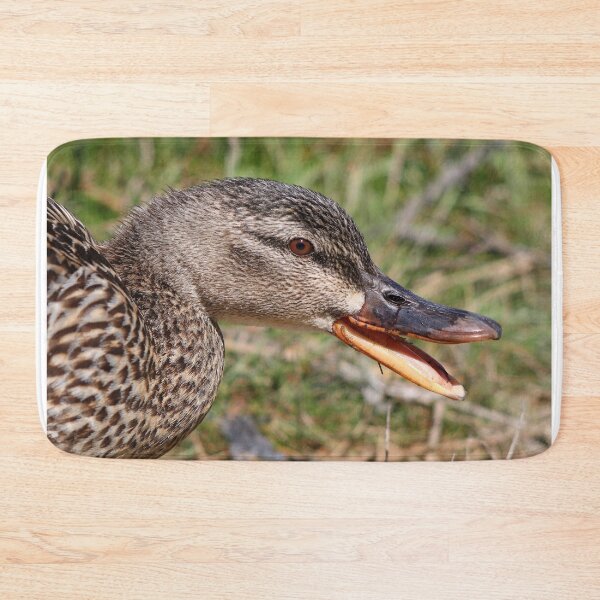 Item preview, Eye to eye designed and sold by GreyFeatherPhot.