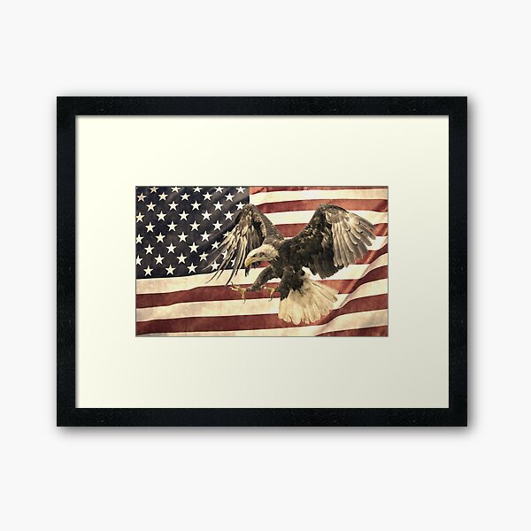 Vintage Eagle and Flag Framed Art Print