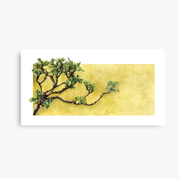 Japanese Pittosporum at the Hakone Gardens Metal Print