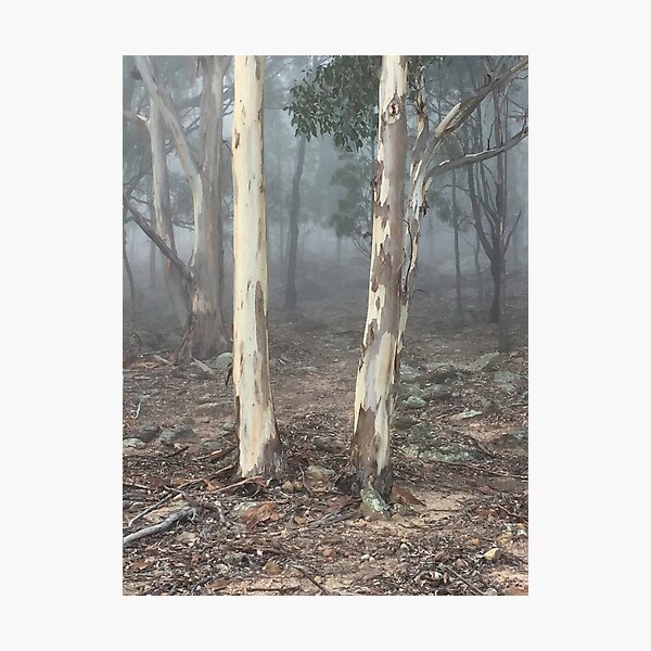 Item preview, Gum Trees designed and sold by GeorgeOne.
