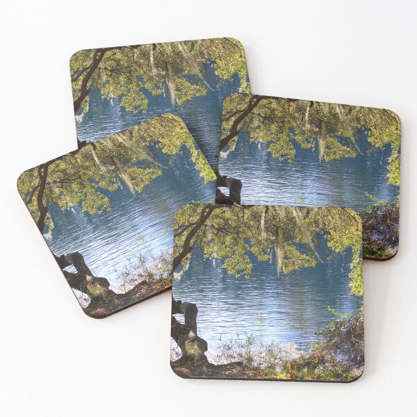Item preview, A Glimpse of the Withlacoochee designed and sold by AuntDot.