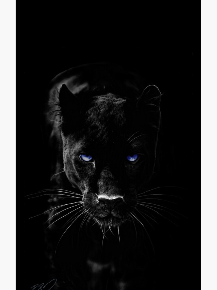BLACK PANTHER by Paparaw