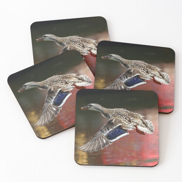 Item preview, Taking flight designed and sold by GreyFeatherPhot.