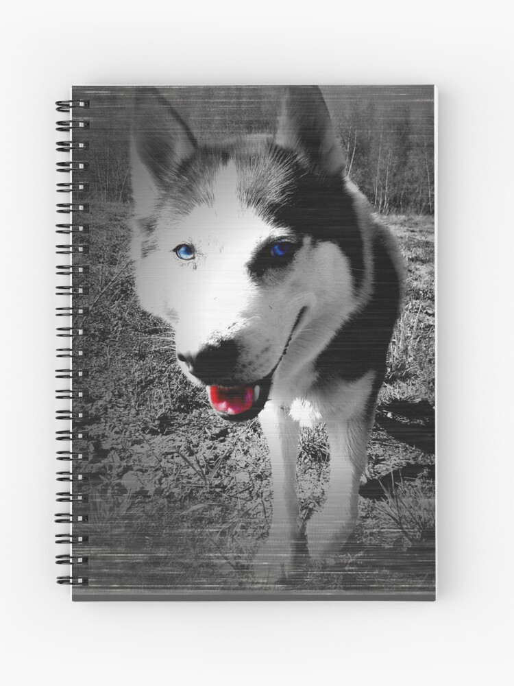Cuaderno De Espiral Husky Siberiano Blanco Negro Con Ojos Azules De Myredblack Redbubble