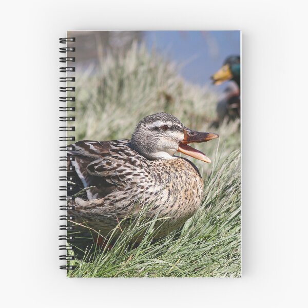 Item preview, Argumentative designed and sold by GreyFeatherPhot.