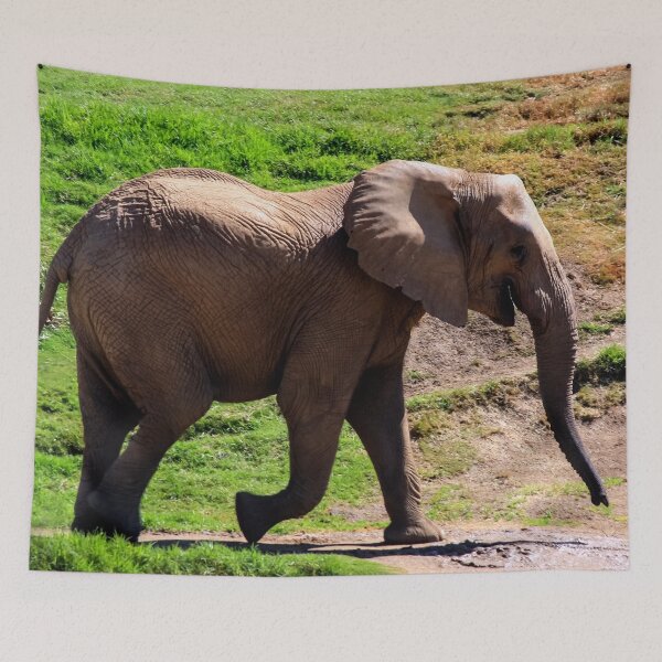 Item preview, Laughing Elephant! designed and sold by heatherfriedman.