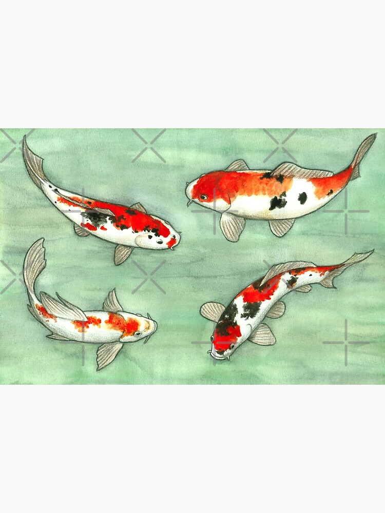 La ronde des carpes koi by savousepate