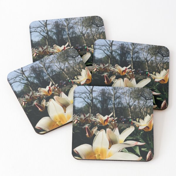 Item preview, White Lillies in Central Park Print designed and sold by Candace Offman.