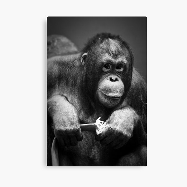 Hello Canvas Print
