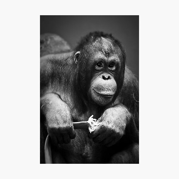 Hello Photographic Print