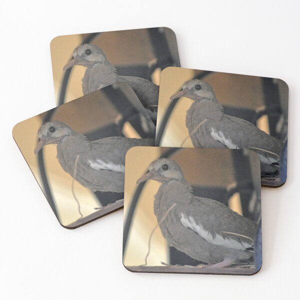 Item preview, MOURNING DOVE CHICK READY TO LEAVE NEST designed and sold by JAYMILO.