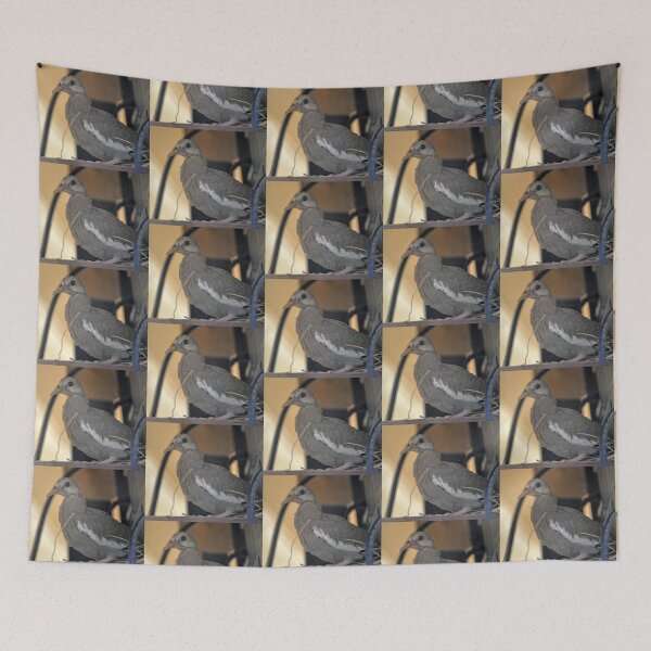 Item preview, MOURNING DOVE CHICK READY TO LEAVE NEST designed and sold by JAYMILO.