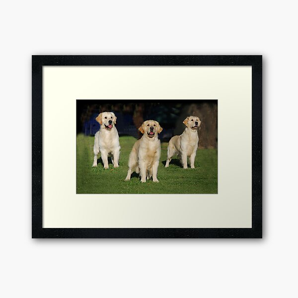 Father, Son & Daughter Framed Art Print