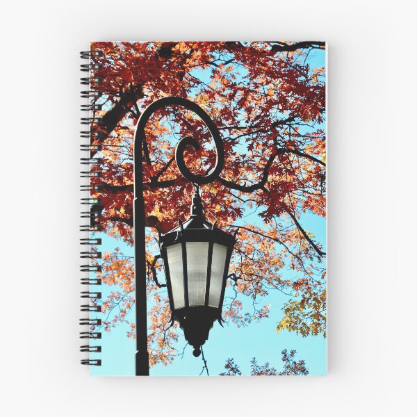 Item preview, Wellesley Lamppost in Autumn designed and sold by sophiagg7.